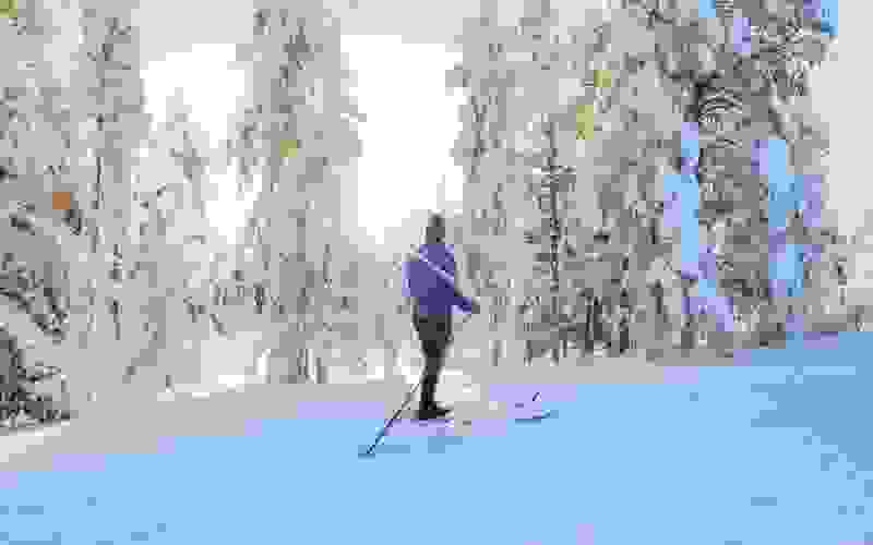 Forest skiing experience