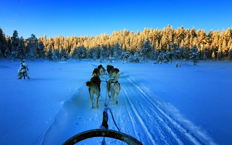 Husky safari (10 km)