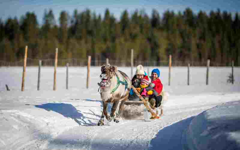 Snowmobile safari to reindeer farm