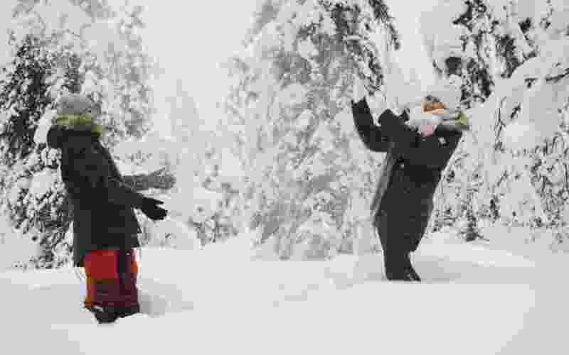 White silence on snowshoes