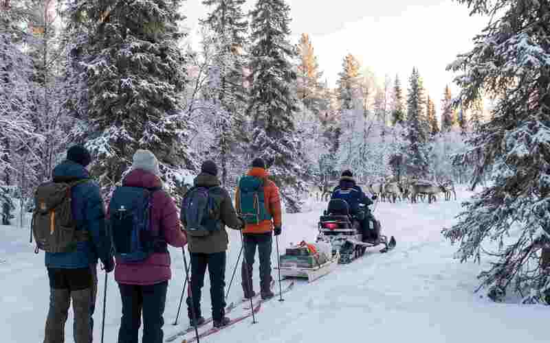 Forest skiing experience