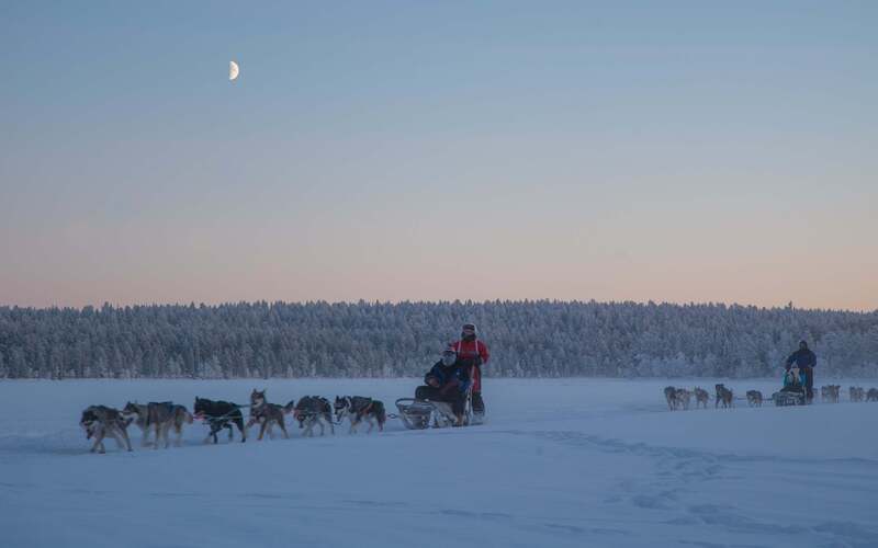 Husky safari (10 km)