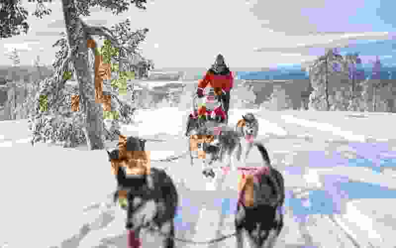Husky experience (3 km)
