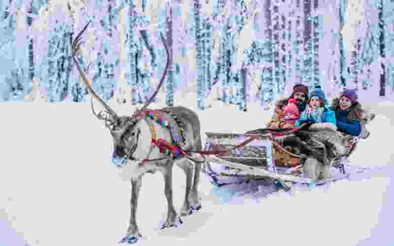 Reindeer safari (3 km)