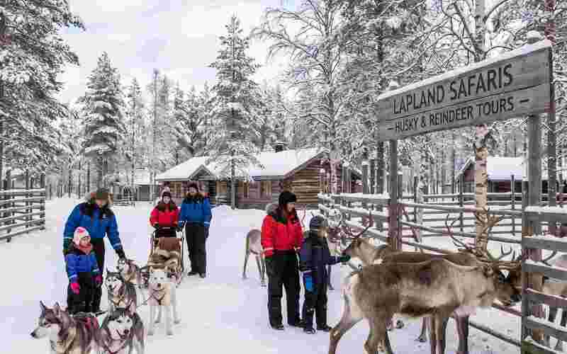 Reindeer and husky experience