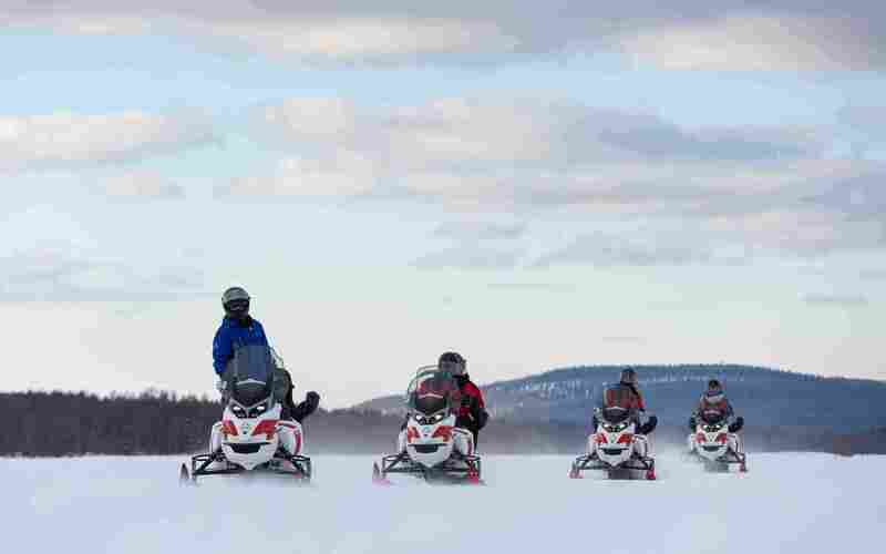 Snowmobile safari 2 h