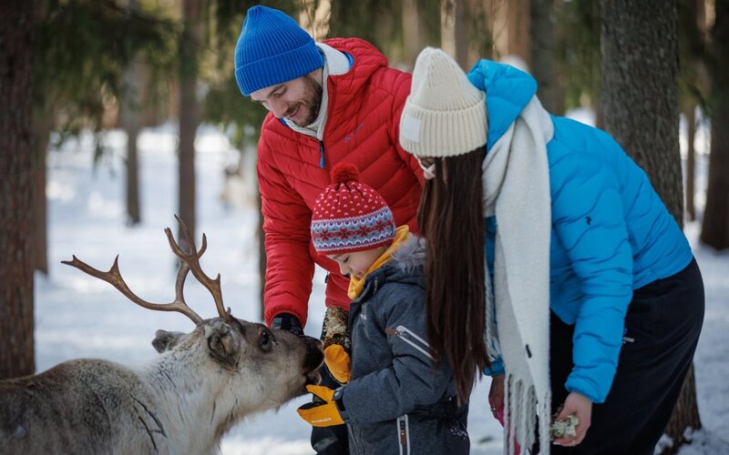 Snowmobile safari to reindeer farm