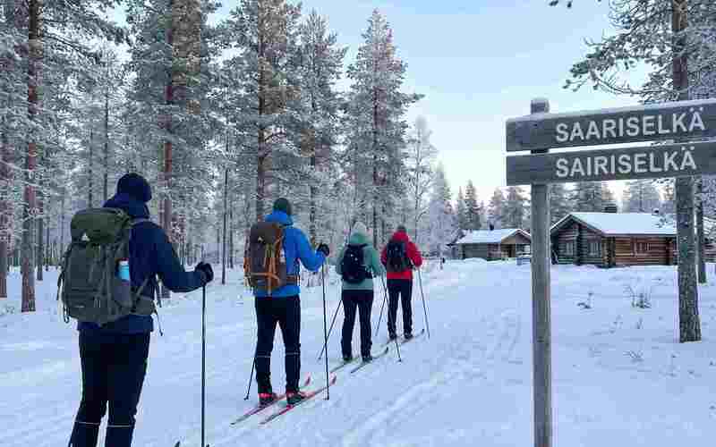 Forest skiing experience