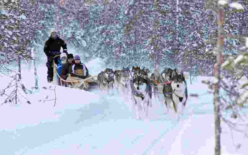 Husky safari (10 km)