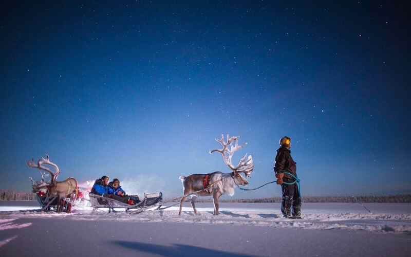 Evening safari by reindeer
