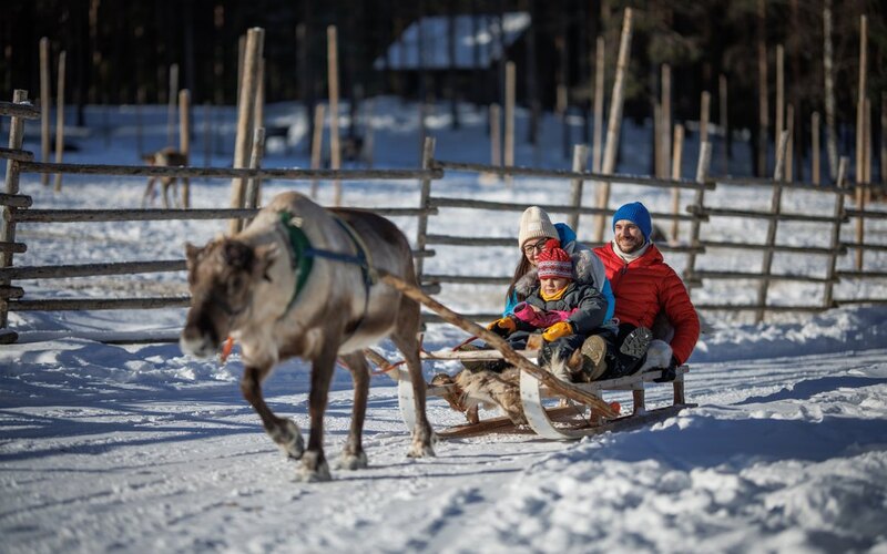 Snowmobile safari to reindeer farm